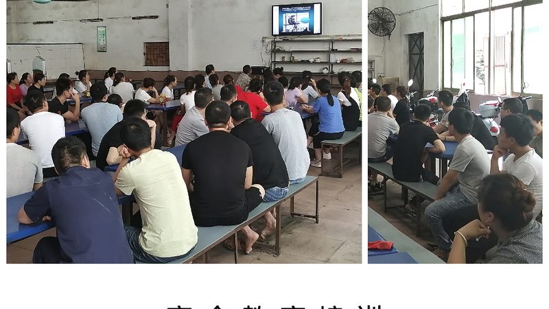 教师资格证笔试面试大揭秘：区别与备考策略